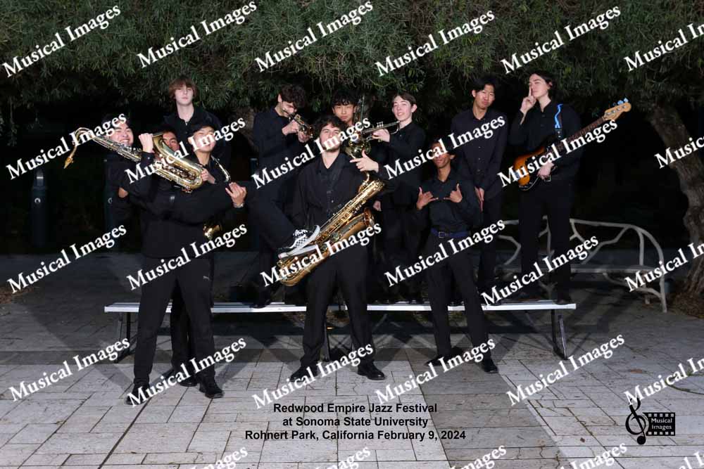 Musical Images